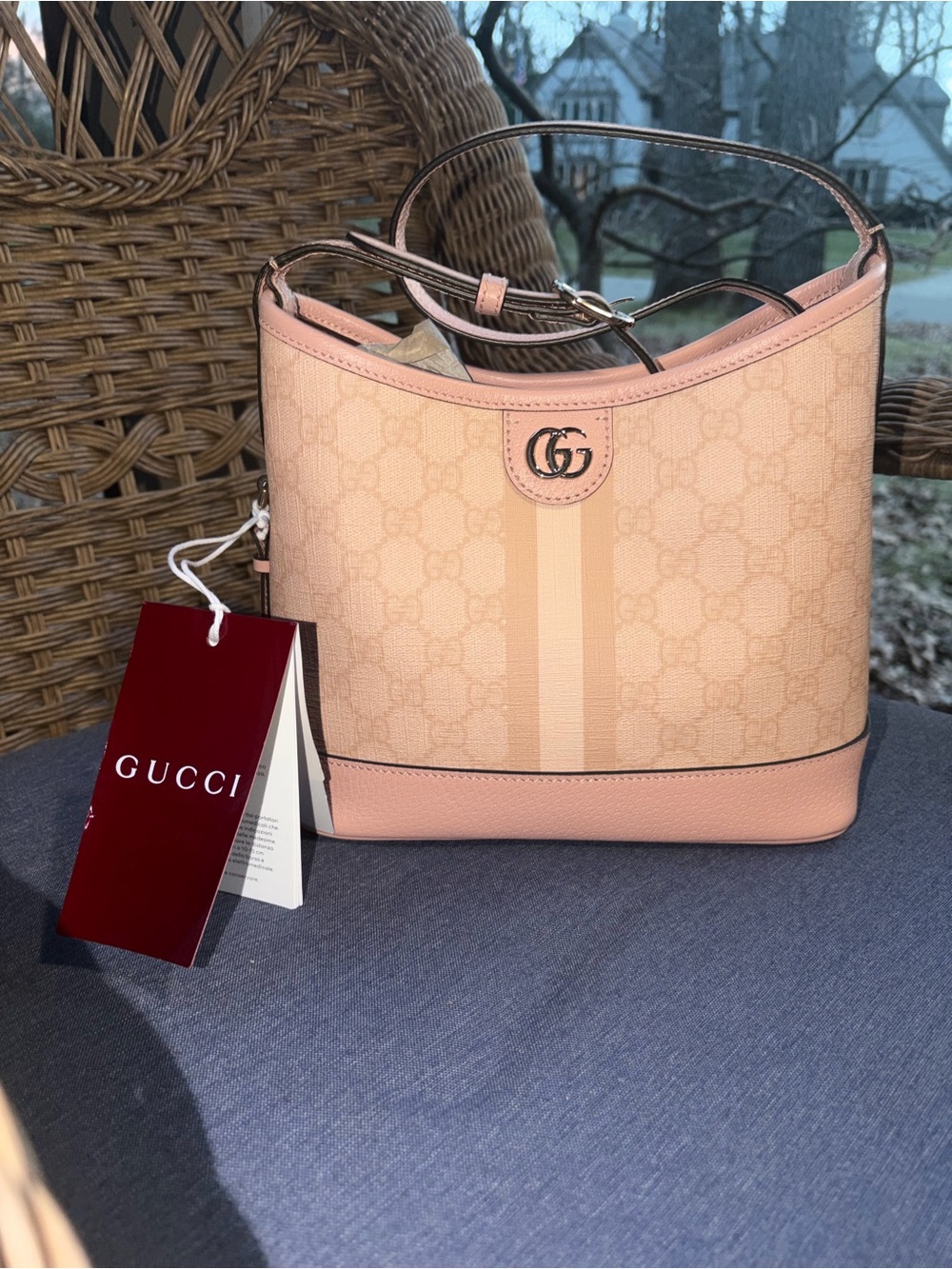 nwt Gucci bucket bag